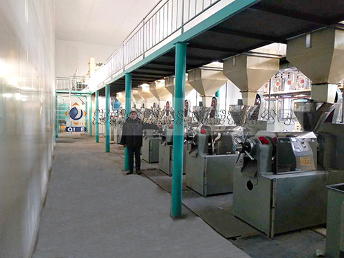 �����͉�ե�O��